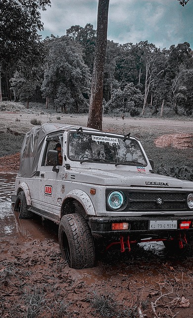 伊萨克数据：上场68分钟1次射门，未能进球，传球11次