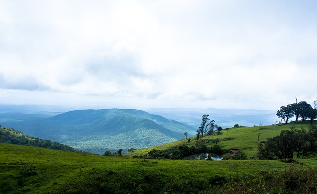 选择合适的 选择合适的