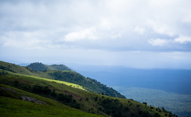 注可能是一 注可能是一