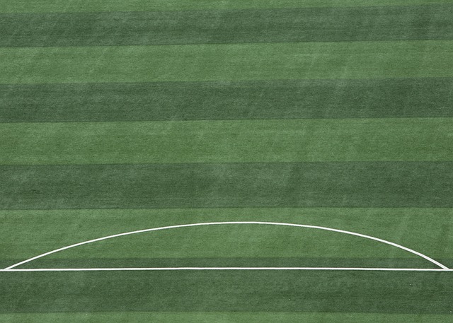 从而增强健 从而增强健